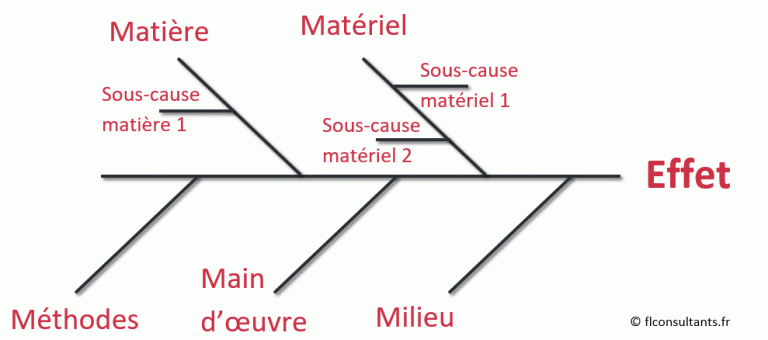 Diagramme 5M